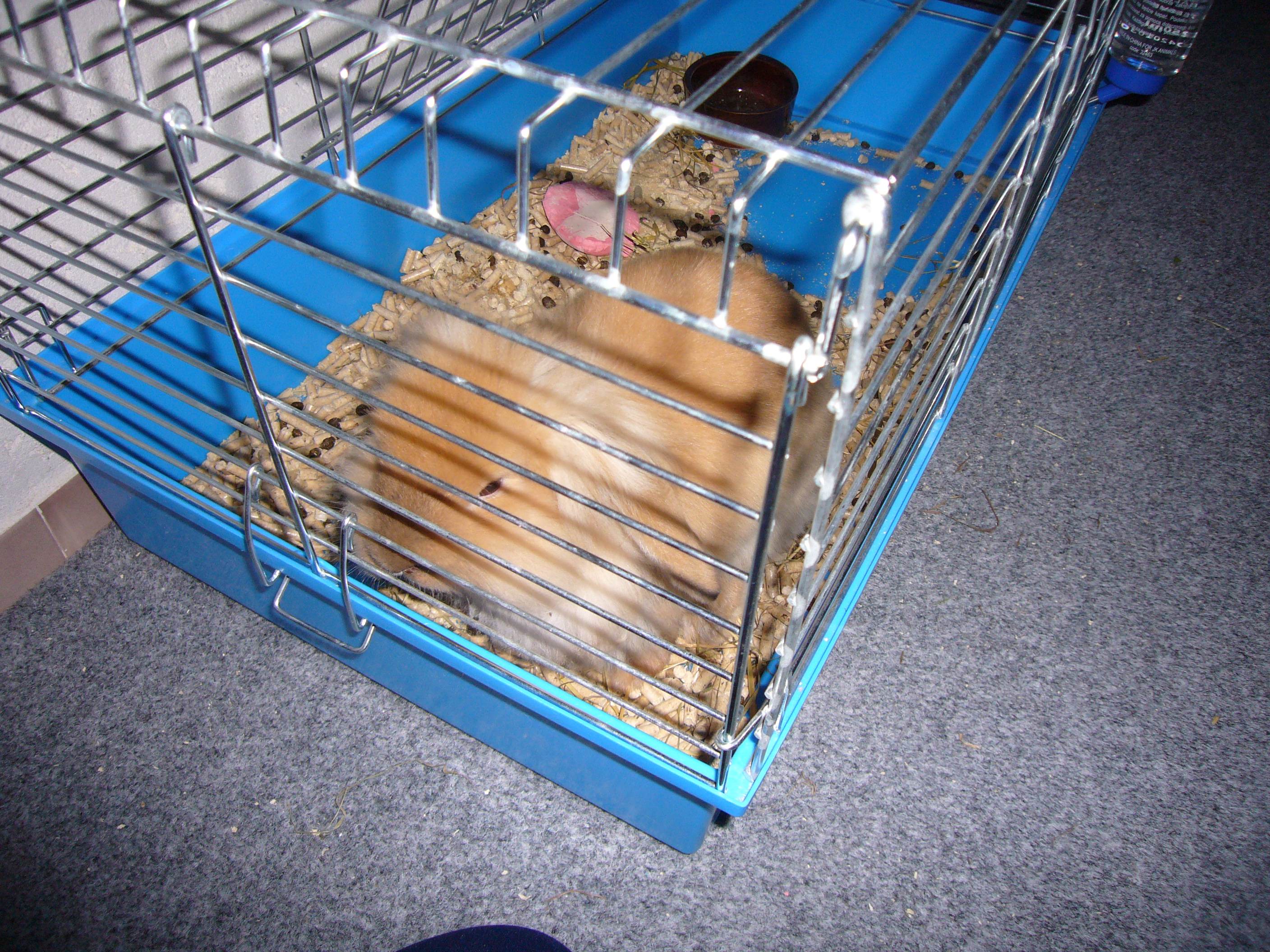 Snímek 008.jpg