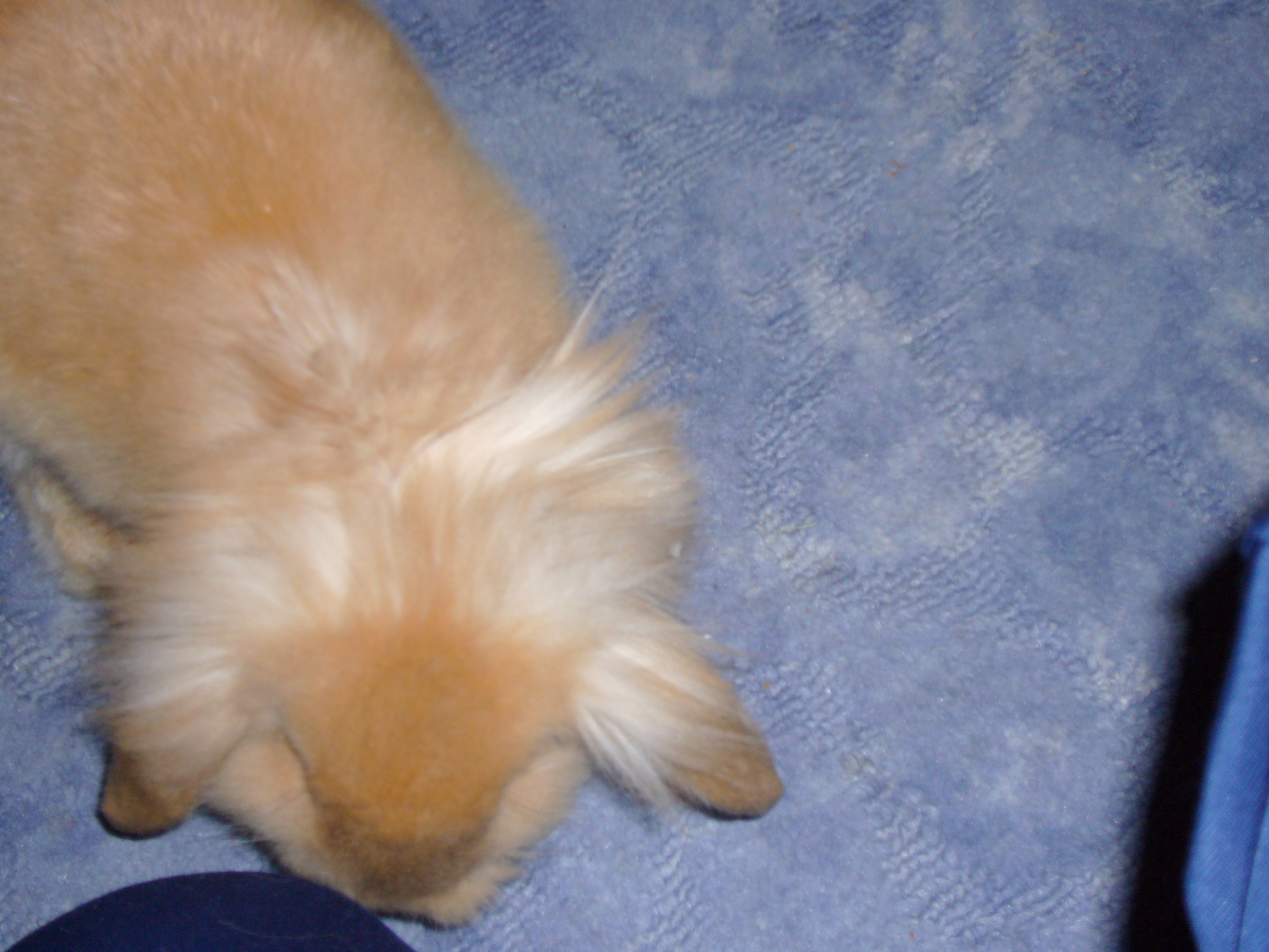 Snímek 006.jpg
