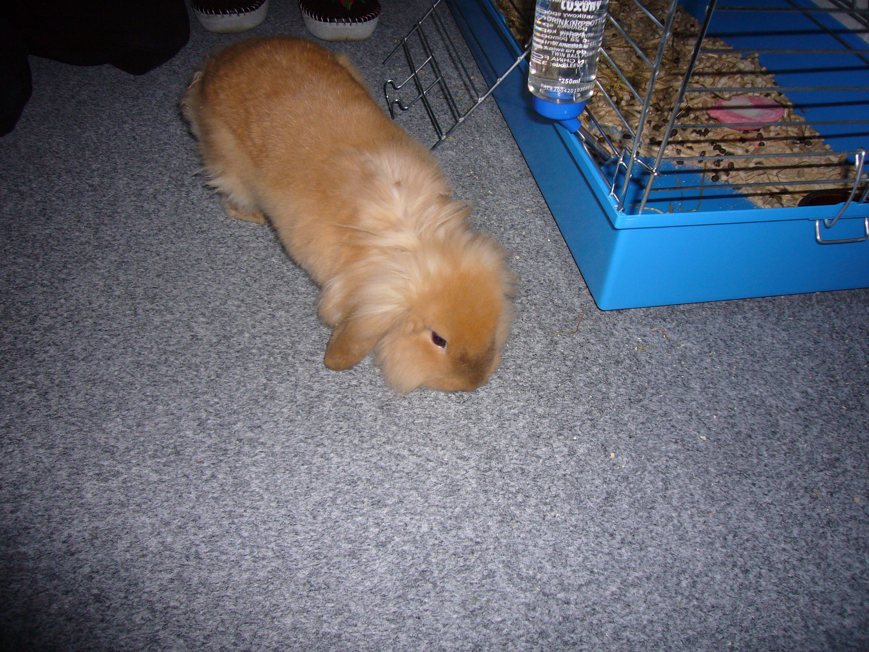Snímek 015.jpg