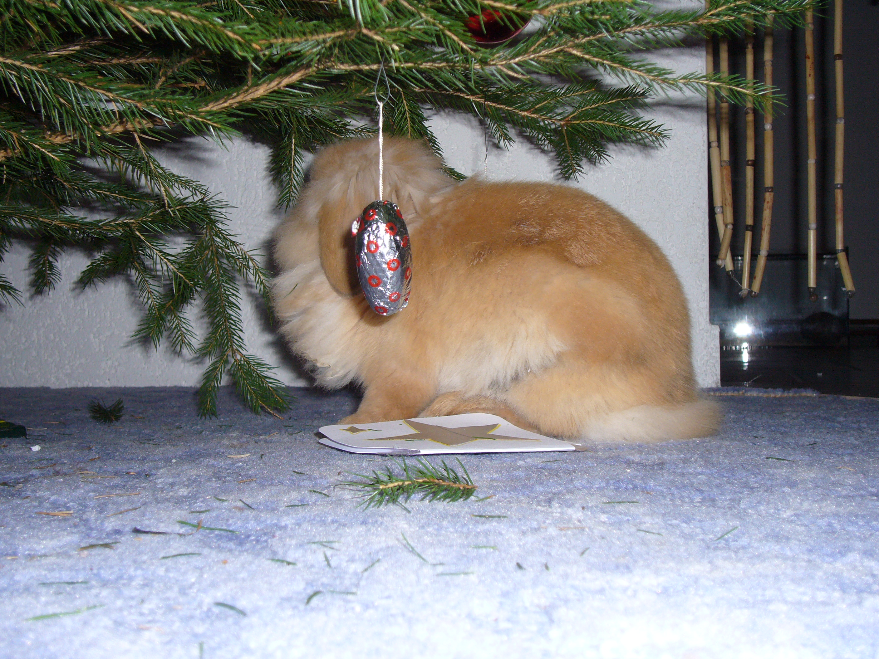 Snímek 004.jpg